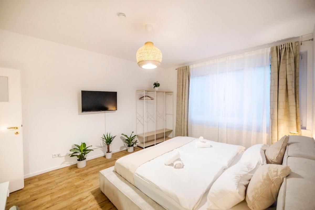 Apartment & Exclusive Amenities