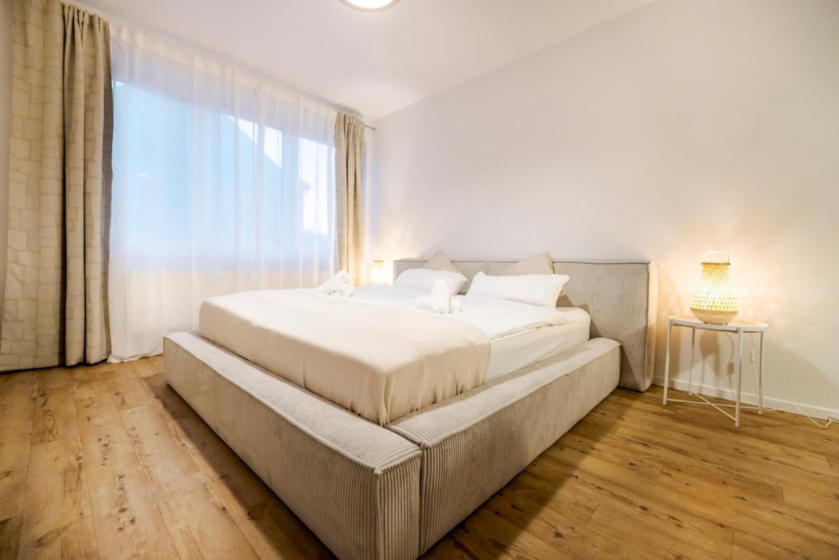 Apartment & Exclusive Amenities